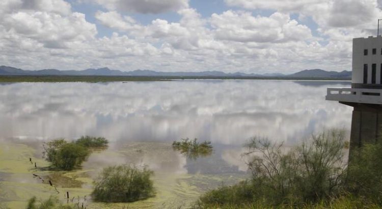 Lluvias han sacado de la sequía extrema a 57 municipios de Sonora