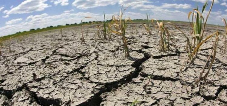 Sequía a la baja en Sonora
