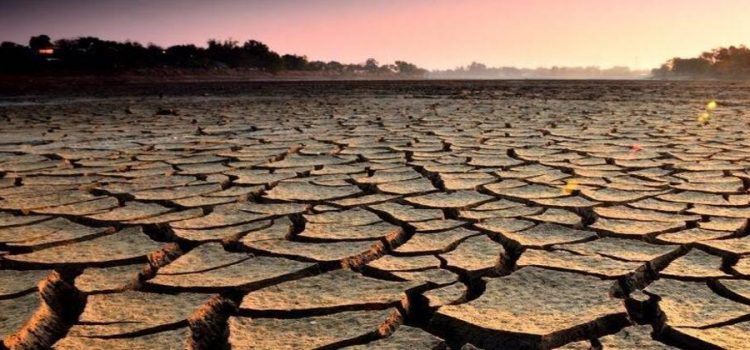 El 82.5 por ciento del territorio de Sonora se encuentra libre de sequía