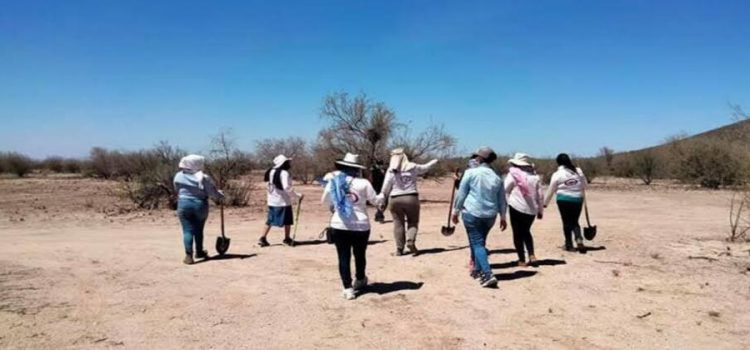 Colectivos de personas buscadoras en Sonora se reunirán con Alfonso Durazo