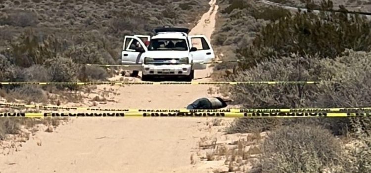 Hallaron cuerpo en descomposición en la carretera Puerto Peñasco-Caborca